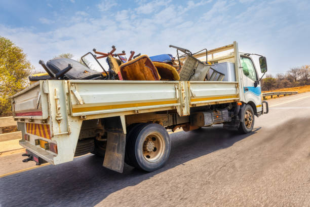 Best Carpet Removal and Disposal  in Elephant Butte, NM